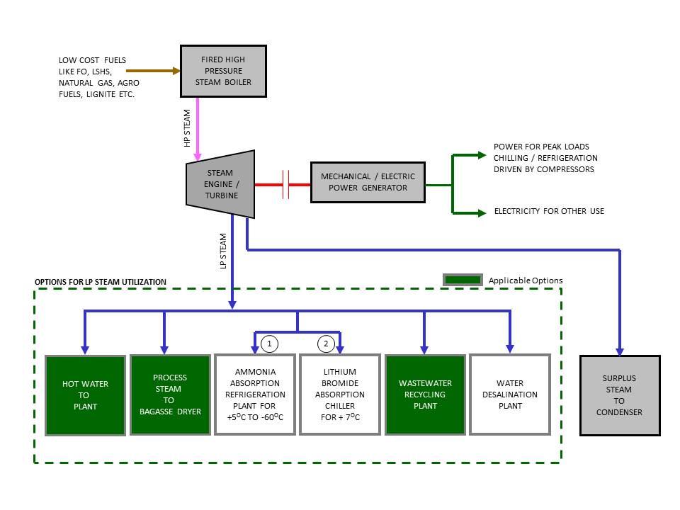 Cogeneration Plants