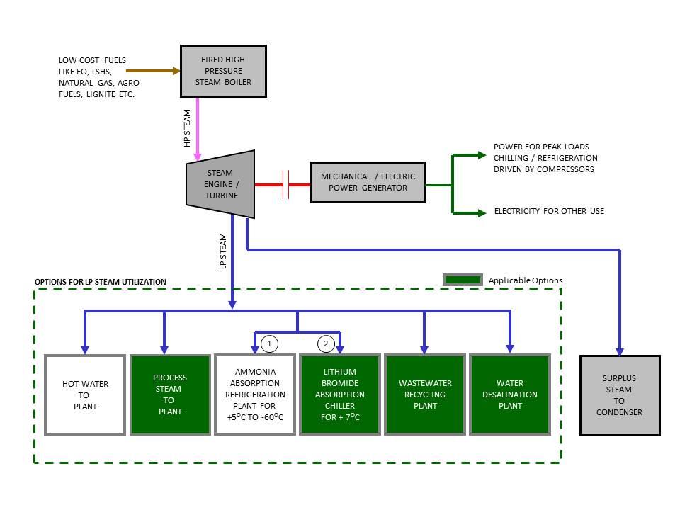 Cogeneration Plants