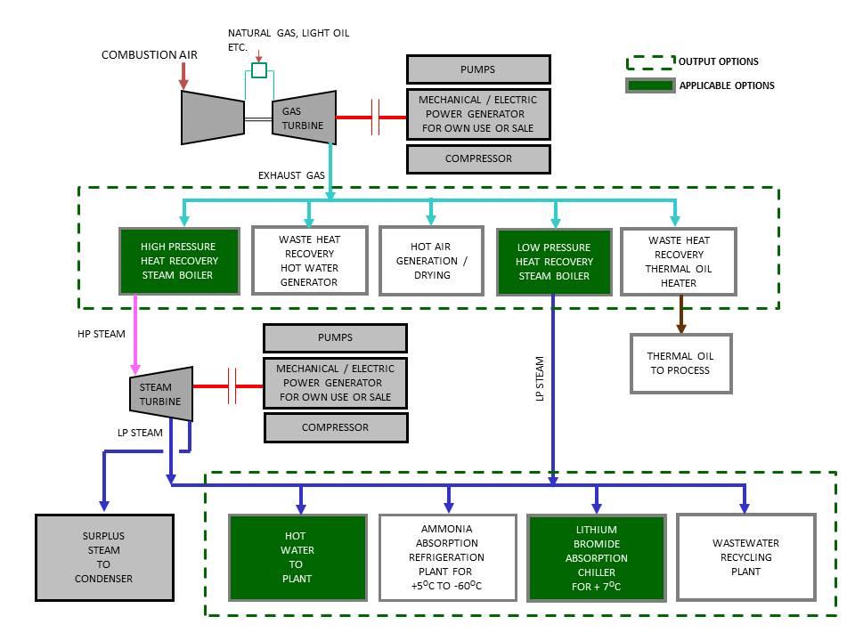 Cogeneration Plants