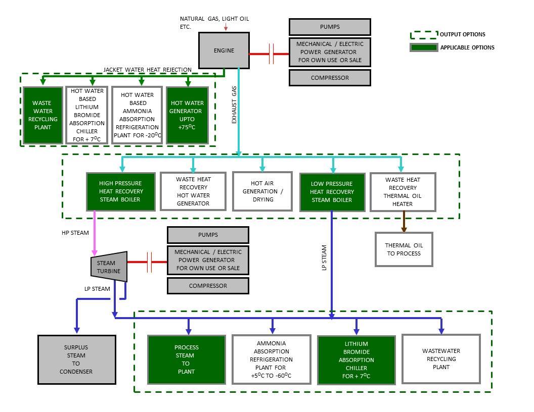 Cogeneration Plants