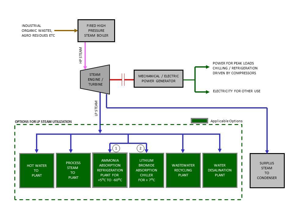 Cogeneration Plants