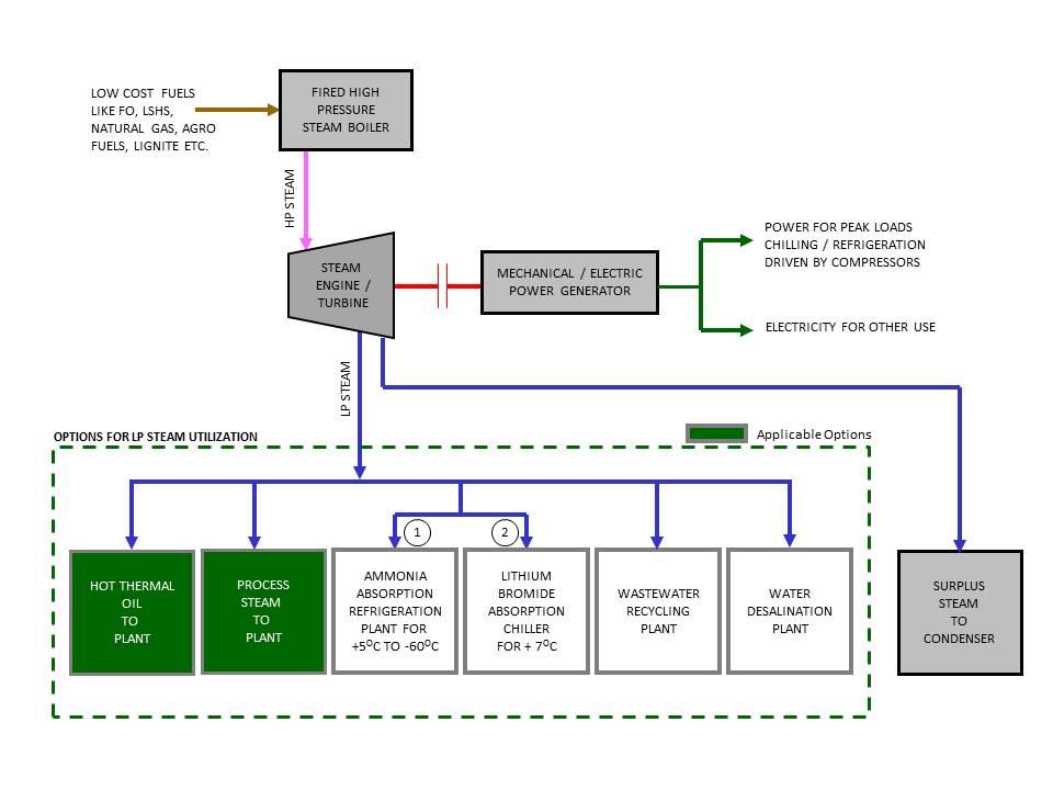 Cogeneration Plants