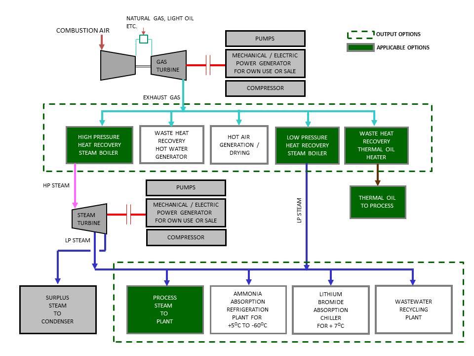 Cogeneration Plants