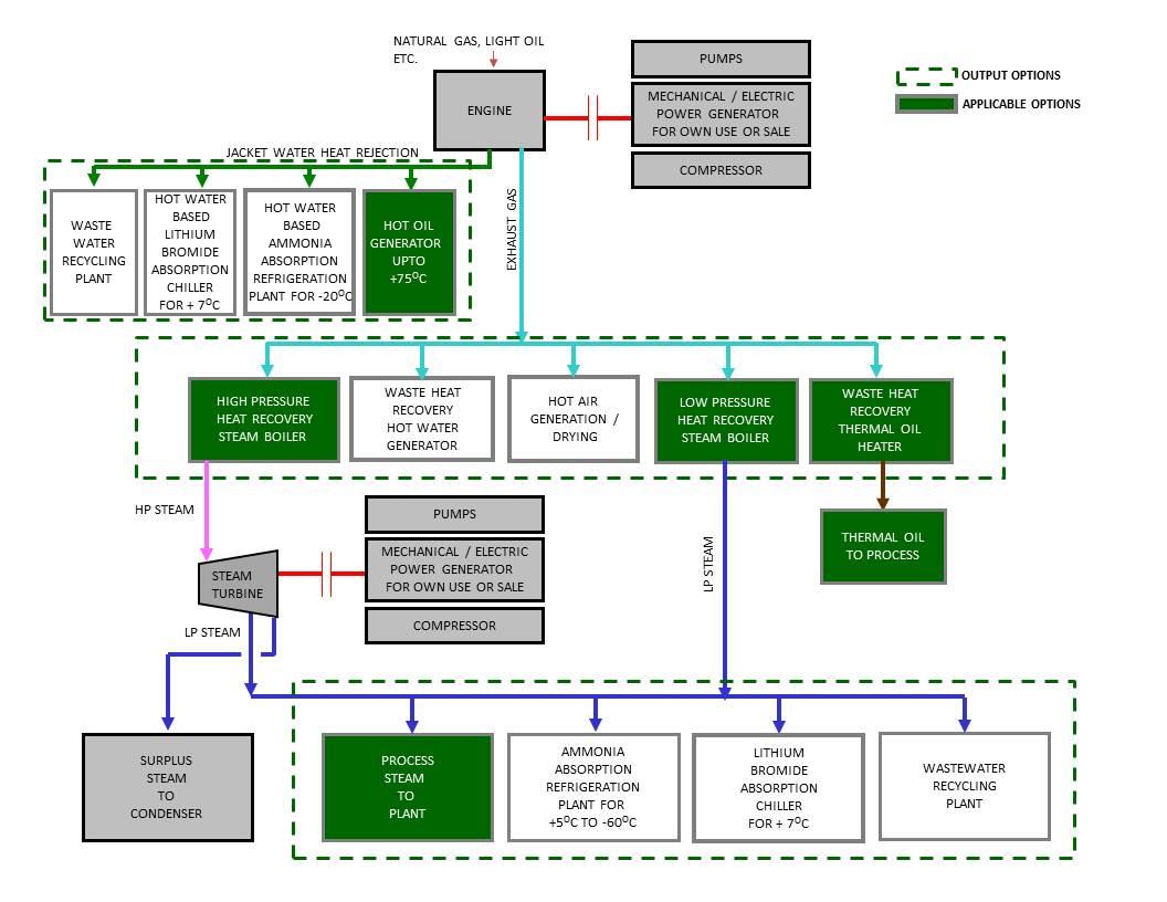 Cogeneration Plants